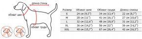      Puppia Mountaineer M (VT1366_ORANGE_M) 3