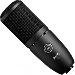  AKG P120 Black 3