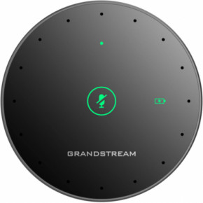 ̳ Grandstream GMD1208