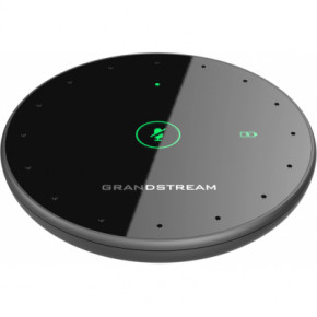 ̳ Grandstream GMD1208 3