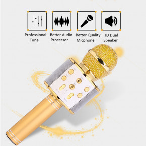    bluetooth WS858 Karaoke Gold (77700750)