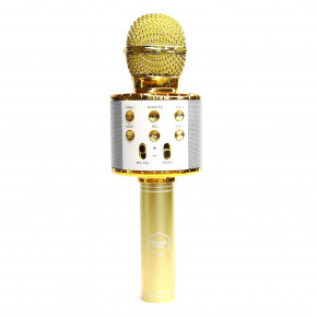 Bluetooth      MUSIC STAR MK2L Gold