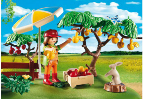   Playmobil   (6870) 4