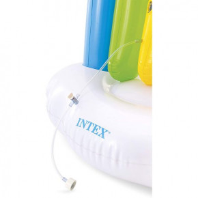   Intex 56597    300109180 7