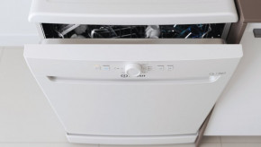   Indesit DFE 1B19 13 6