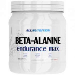  All Nutrition Beta-Alanine Endurance Max - 500g 100-42-5515775-20