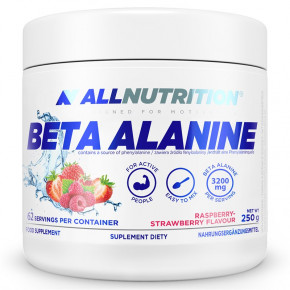 All Nutrition Beta Alanine   - 250   100-26-2010651-20