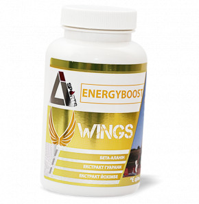    LI Sports Energyboost Wings 60 (11420001)