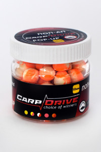   Carp Drive   - 10  3