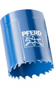   Pferd 40  