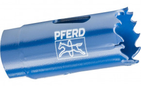   Pferd 38  