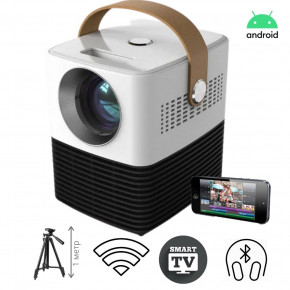 SMART   ANDROID  XPRO Panoplus ZEBRA (3000 lumen)  1    6