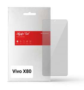   ArmorStandart Vivo X80 (ARM63832)