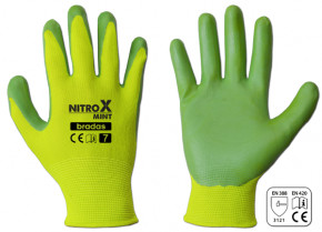   Bradas Nitrox Mint 6 (RWNM6)