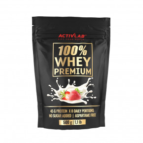   Activlab 100 Whey Premium 500  