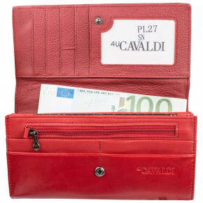    4U Cavaldi DNKPL27-SN-red 6