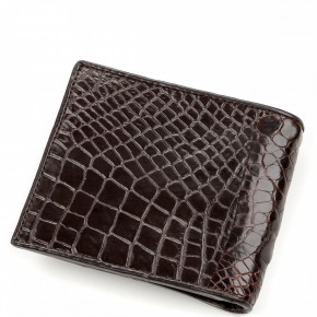   Crocodile Leather 18196    6