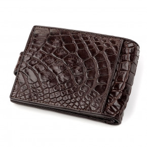  Crocodile Leather 18210  (73074) 3