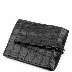   Crocodile Leather 18232    6