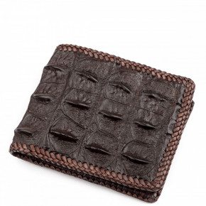   Crocodile Leather 18237   