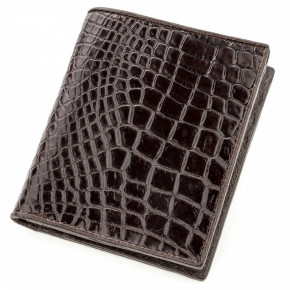   Crocodile Leather 18529   