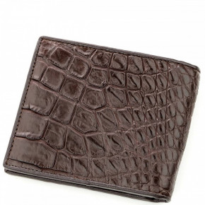   Crocodile Leather 18577    6