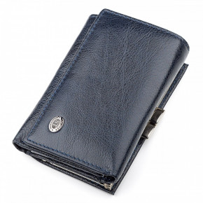 Ƴ   ST Leather Accessories 18358 (ST617)