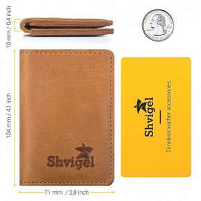  Shvigel 15300  (47395) 5