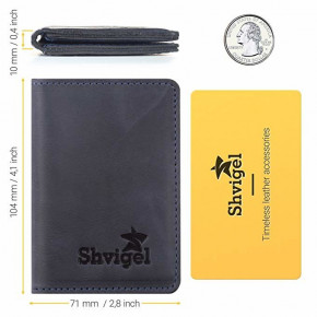  Shvigel 15301  (47396) 5