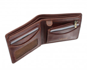   Visconti Tuscany TSC-46   RFID Tan 3