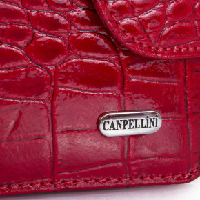    CANPELLINI 2469,  7