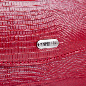    CANPELLINI 4537,  6