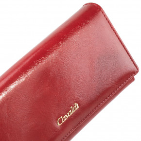    DNK Leather 4U Cavaldi DNKPX22-20-red 7