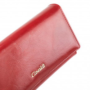    DNK Leather 4U Cavaldi DNKPX22-20-red 8