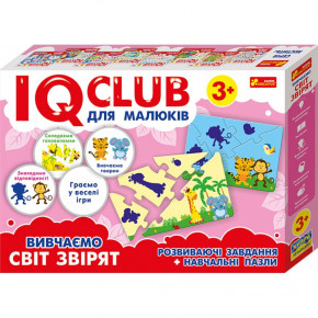  .   . IQ-club   () 13203006