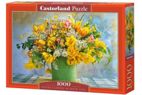  Castorland 1000  (C-104567)