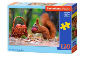  Castorland  120  (-13302)