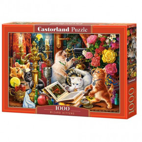  Castorland 1000  (C-104857)