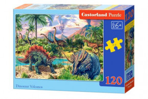  Castorland  120  (-13234)