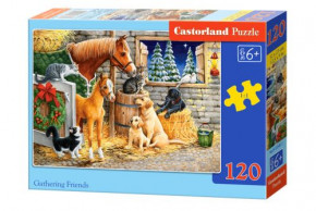  Castorland  120  (-13340)