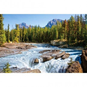   , Athabasca river, Jasper National Park, Canada, 1500  -150762