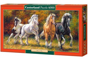  Castorland  (4000 ) (-400119)