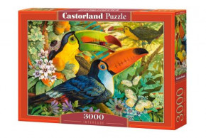  Castorland  3000  (-300433)