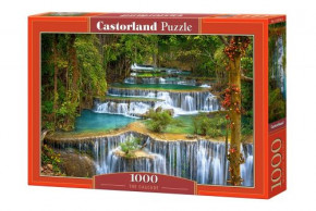  Castorland  1000  (-103782)