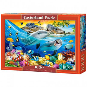  Castorland (C-104611)