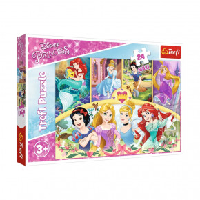   Trefl ղ Disney   14294 24 