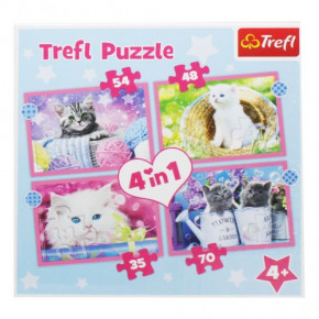  Trefl   (34396)