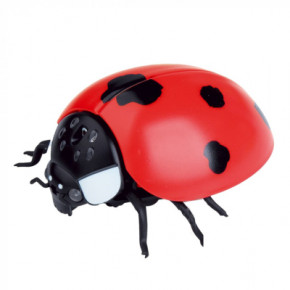   Best Fun Toys Ladybug (6337205)