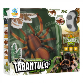   Best Fun Toys Tarantula (6337201) 3