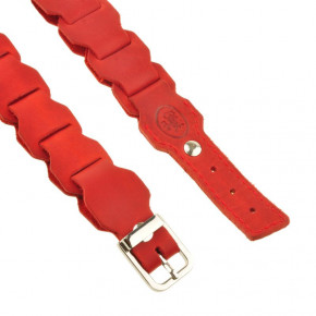   -  Blank Note BN-BELT-1-coral 5